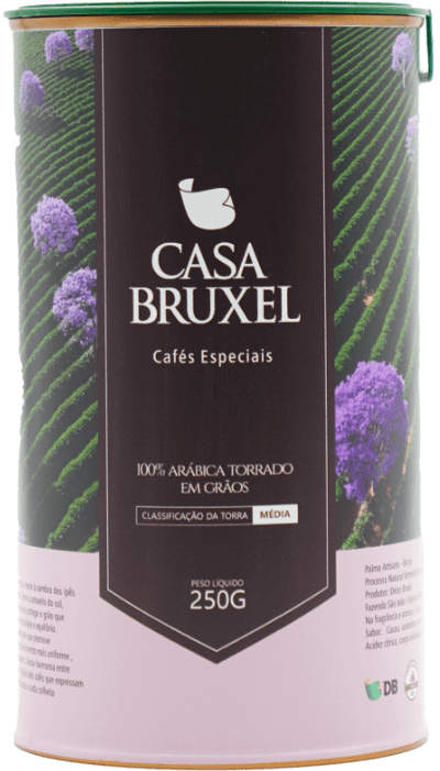 Palma Artisans Ed. Ipês